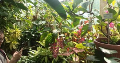 🌿 Piątoklasiści wśród egzotycznych roślin! 🌺🌴