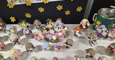 Pola Nadziei w SP2 Pola Nadziei w SP2